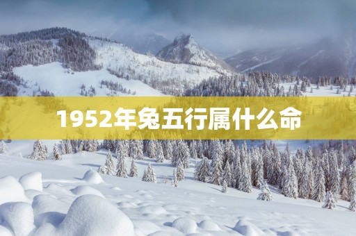 1952年兔五行属什么命