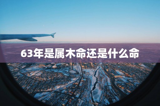 63年是属木命还是什么命
