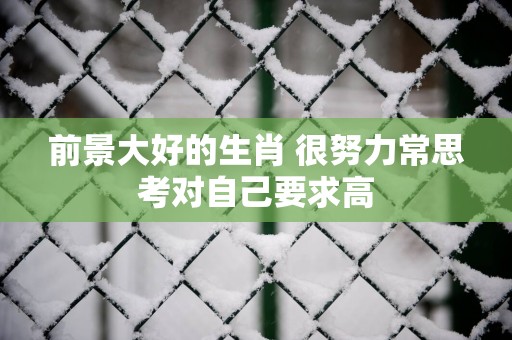 前景大好的生肖 很努力常思考对自己要求高