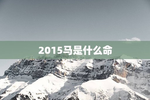 2015马是什么命