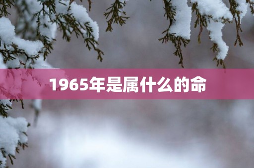 1965年是属什么的命