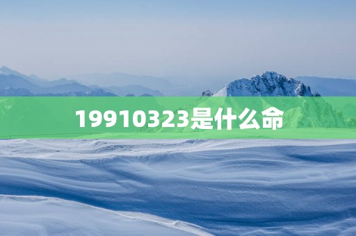 19910323是什么命