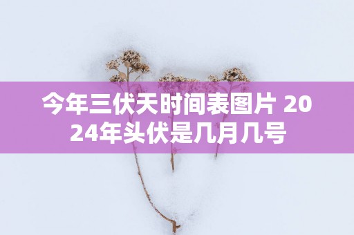 今年三伏天时间表图片 2025年头伏是几月几号
