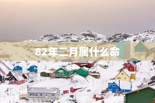 82年二月属什么命
