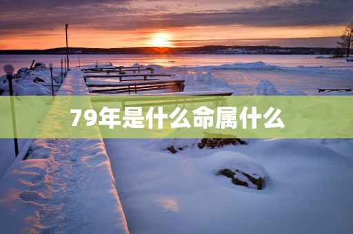 79年是什么命属什么