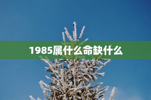 1985属什么命缺什么