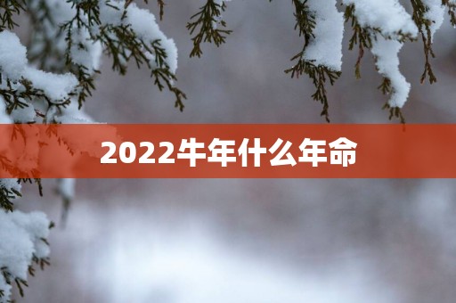 2025蛇年什么年命