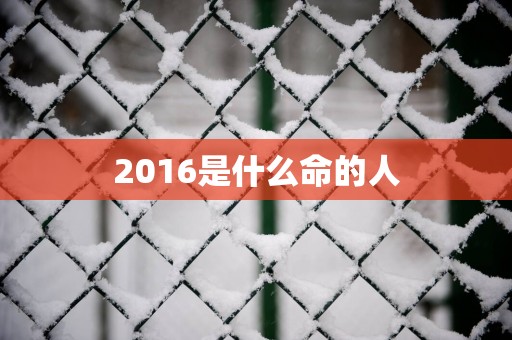 2016是什么命的人