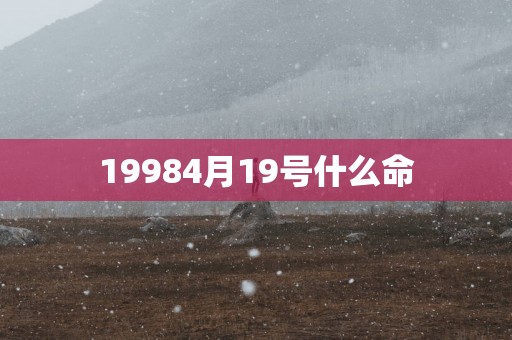19984月19号什么命