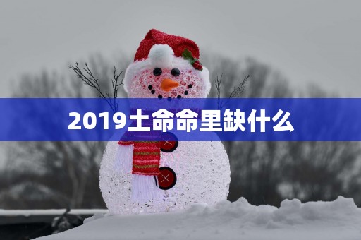 2019土命命里缺什么