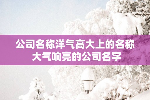 公司名称洋气高大上的名称 大气响亮的公司名字