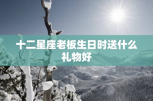 十二星座老板生日时送什么礼物好