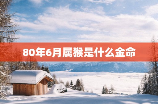 80年6月属猴是什么金命