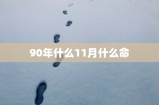 90年什么11月什么命