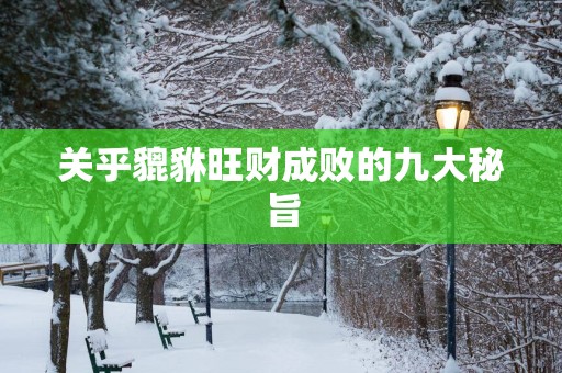 关乎貔貅旺财成败的九大秘旨