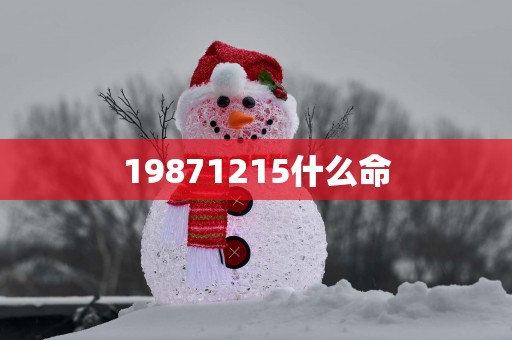 19871215什么命