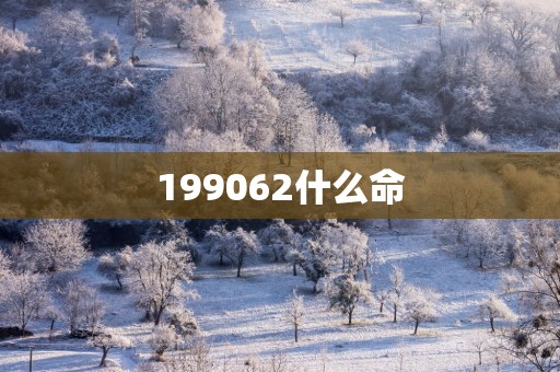 199062什么命