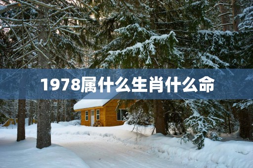 1978属什么生肖什么命