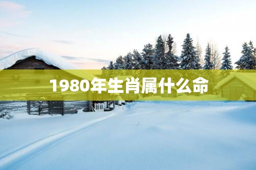 1980年生肖属什么命