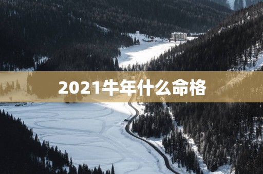 2021牛年什么命格