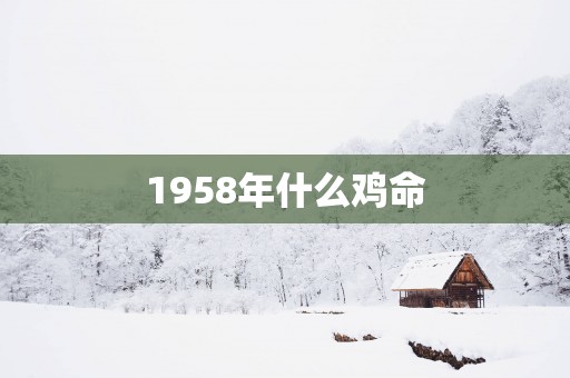 1958年什么鸡命