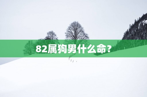 82属狗男什么命？