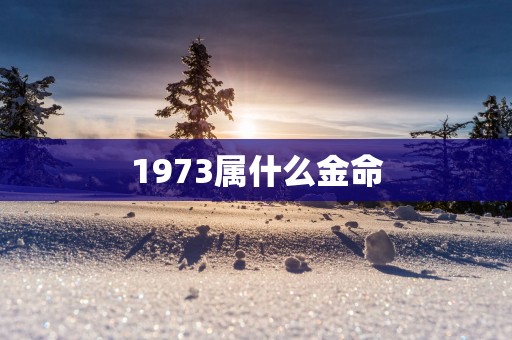 1973属什么金命