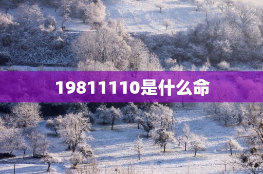 19811110是什么命