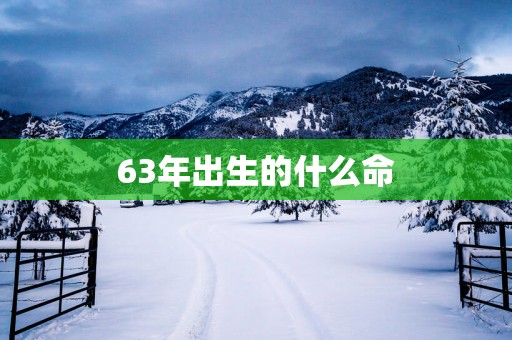 63年出生的什么命