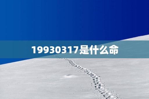 19930317是什么命
