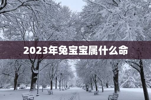 2025年兔宝宝属什么命