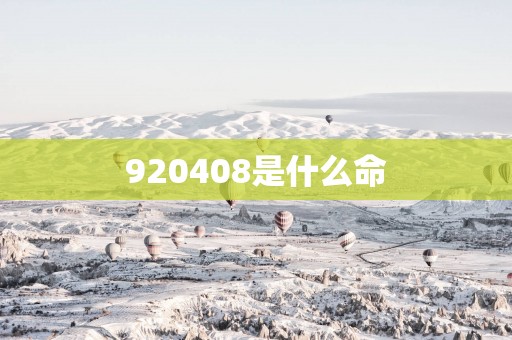 920408是什么命