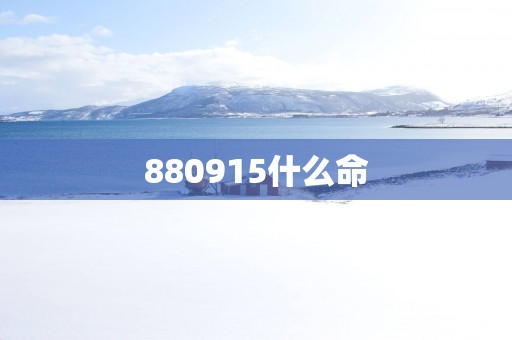 880915什么命