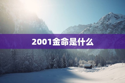 2001金命是什么