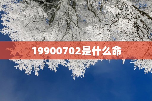 19900702是什么命