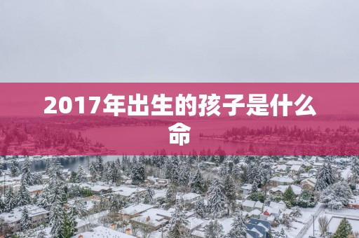 2017年出生的孩子是什么命