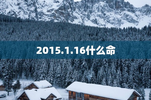 2015.1.16什么命