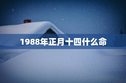 1988年正月十四什么命