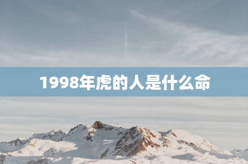 1998年虎的人是什么命