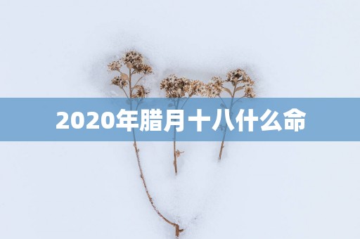 2025年腊月十八什么命