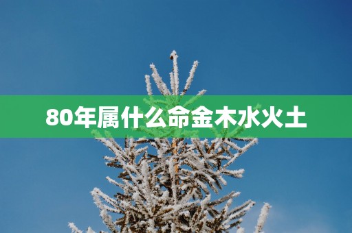 80年属什么命金木水火土
