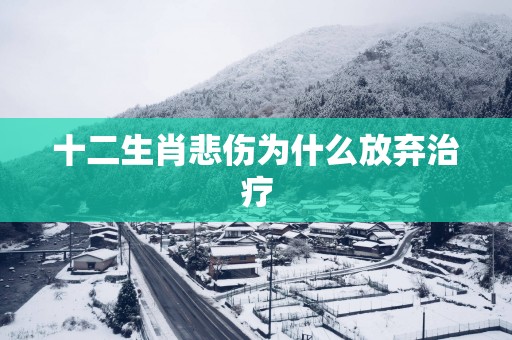 十二生肖悲伤为什么放弃治疗