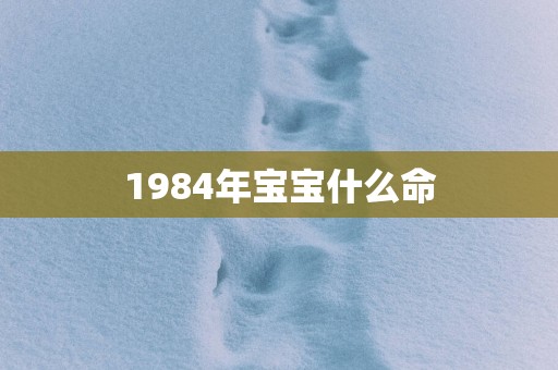 1984年宝宝什么命
