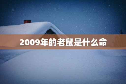 2009年的老鼠是什么命