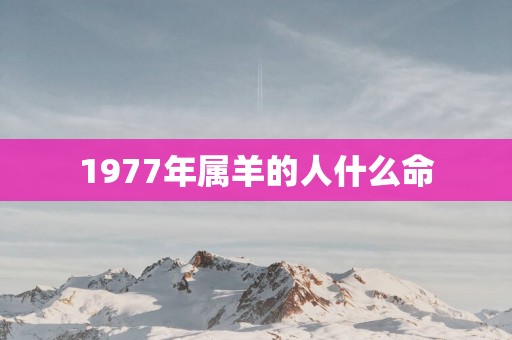 1977年属羊的人什么命