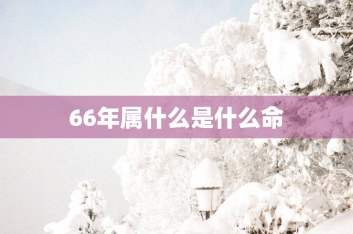 66年属什么是什么命