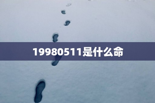 19980511是什么命