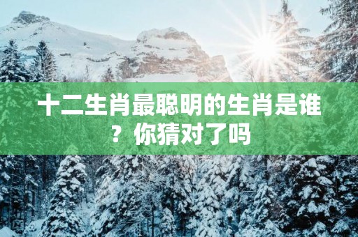十二生肖最聪明的生肖是谁？你猜对了吗