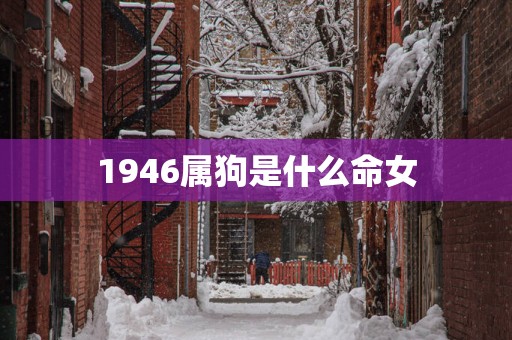 1946属狗是什么命女