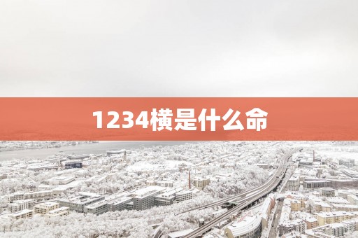 1234横是什么命
